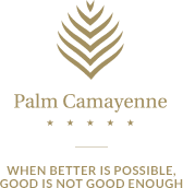 Palm Camayenne